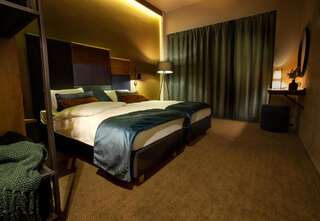 Отель Hotel Remes Опаленица Стандартный двухместный номер с 1 кроватью или 2 отдельными кроватями-6