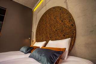Отель Hotel Remes Опаленица Стандартный двухместный номер с 1 кроватью или 2 отдельными кроватями-8